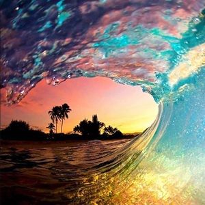 Meet your Posher, Kat